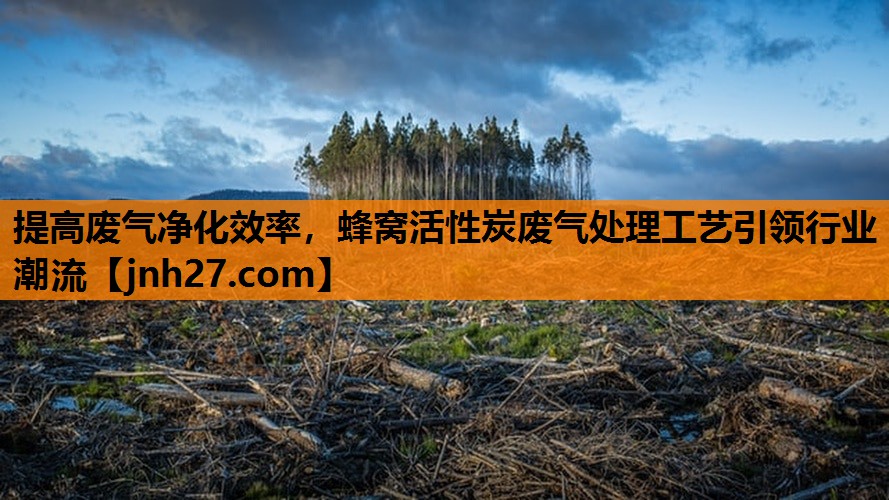 提高废气净化效率，蜂窝活性炭废气处理工艺引领行业潮流