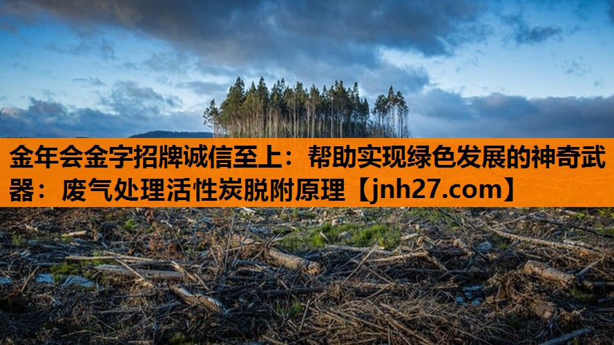 <strong>金年会金字招牌诚信至上：帮助实现绿色发展的神奇武器：废气处理活性炭脱附原理</strong>