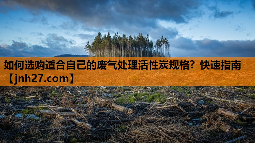 如何选购适合自己的废气处理活性炭规格？快速指南