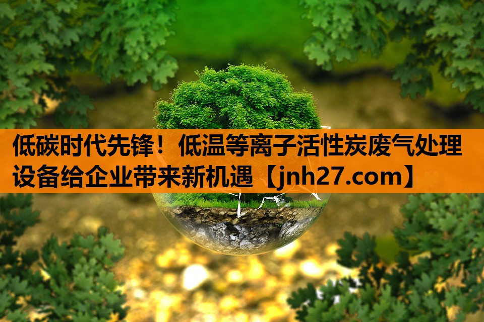低碳时代先锋！低温等离子活性炭废气处理设备给企业带来新机遇