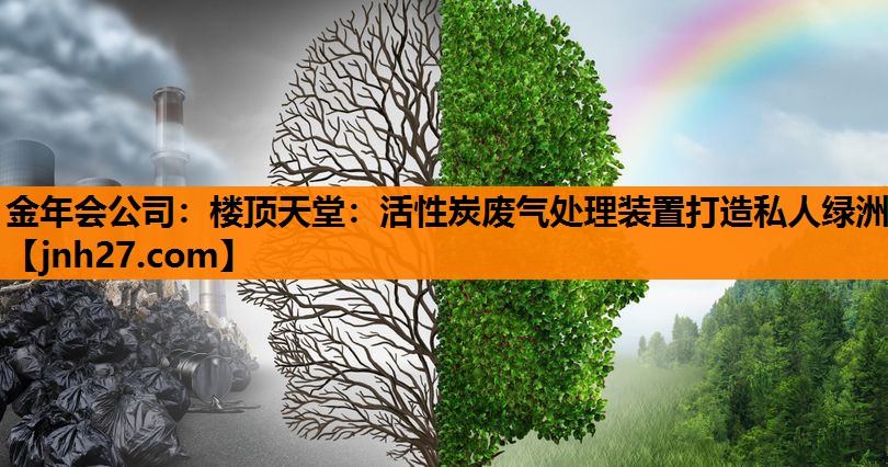 楼顶天堂：活性炭废气处理装置打造私人绿洲