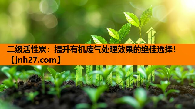 二级活性炭：提升有机废气处理效果的绝佳选择！