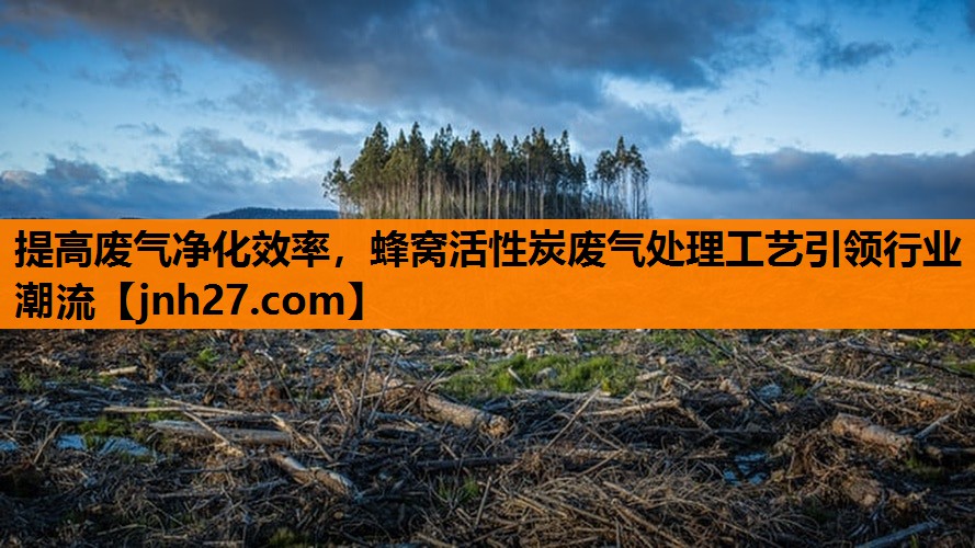 提高废气净化效率，蜂窝活性炭废气处理工艺引领行业潮流